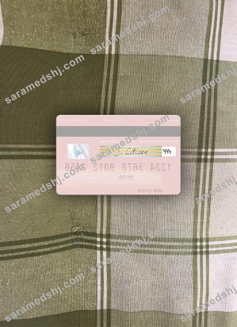 Uruguay HSBC Bank visa dbeit card photolook back